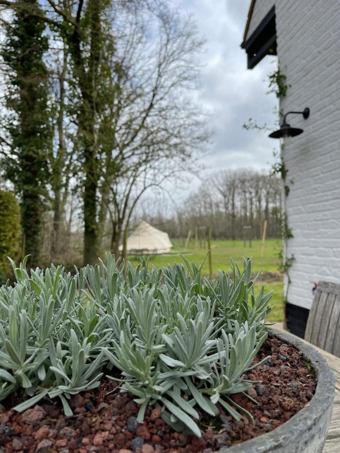 No Tempo Villa Knesselare ภายนอก รูปภาพ